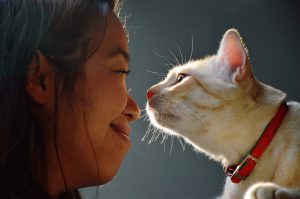 woman and cat eye contract together